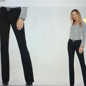 Express Navy Barely Boot Columnist Pant